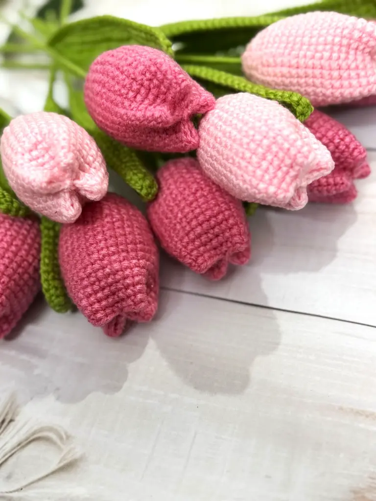 double shade pink tulip (1).webp