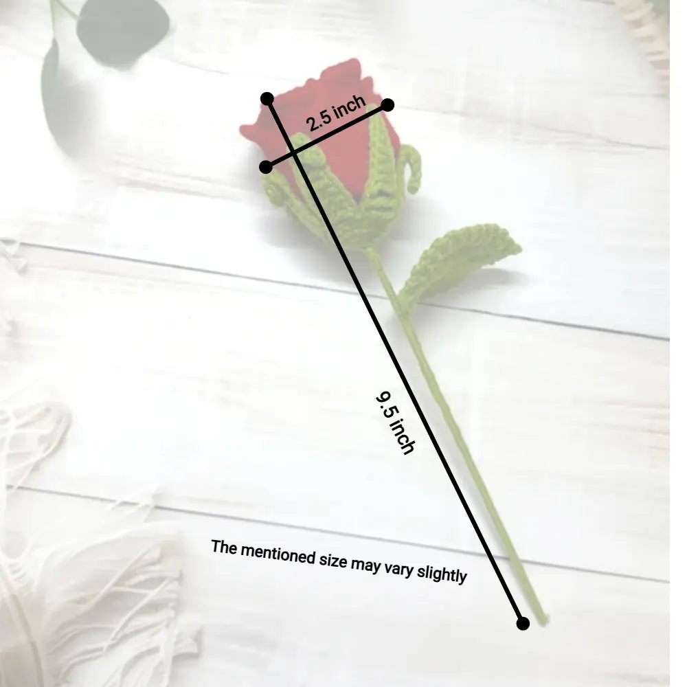 red rose measerment.webp