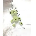 frog measerment.webp
