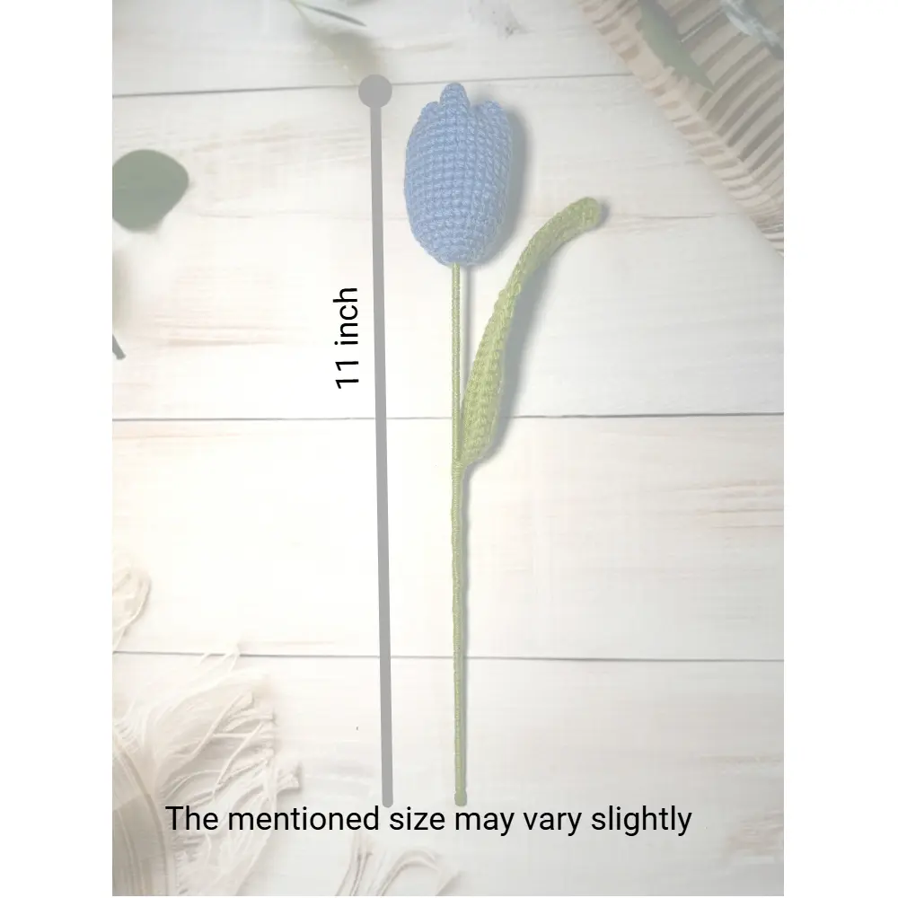 tulip measerment.webp
