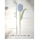 tulip measerment.webp