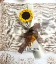 sunflower new.webp