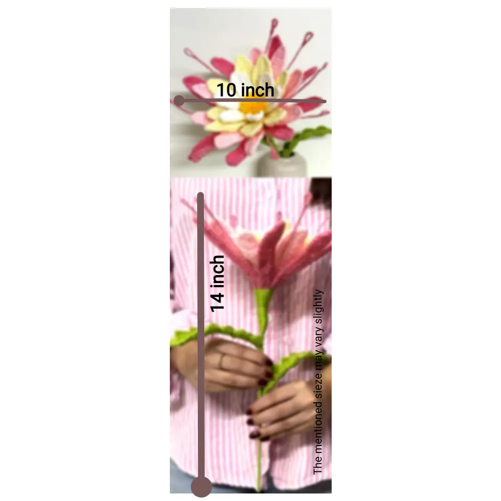 main-canvas-68c10576d35bada3bc8c6836.webp