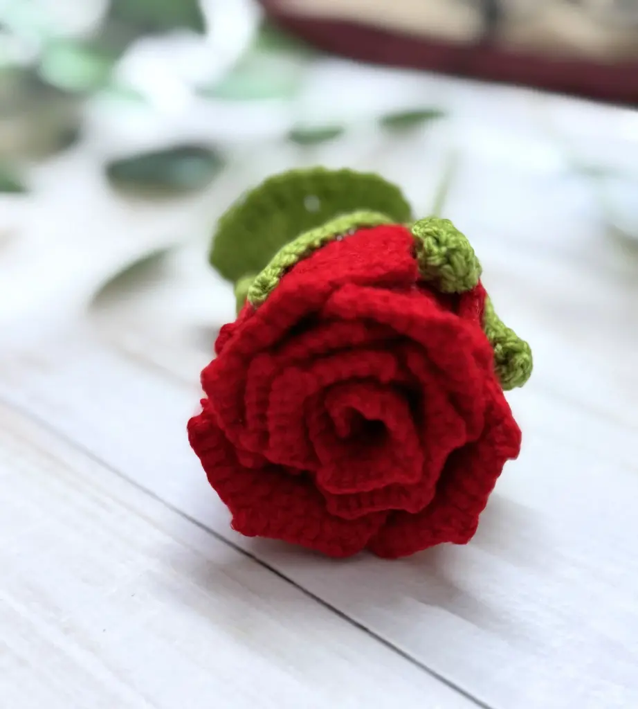 red rose.webp