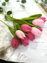 Double Shade Tulip Pair of 7
