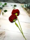 Carnation 1 pcs