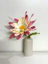 Epiphyllum pink