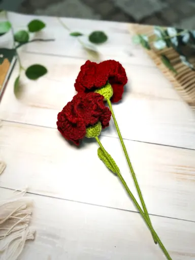 Carnation 1 pcs