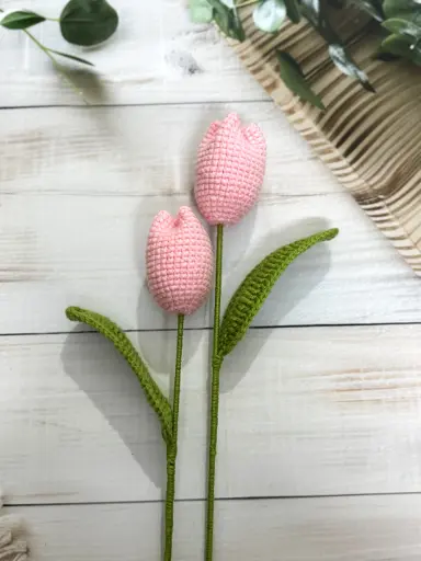 Light Pink Tulip - Set of 2