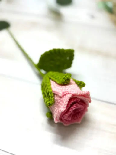 Pretty Pink Rose